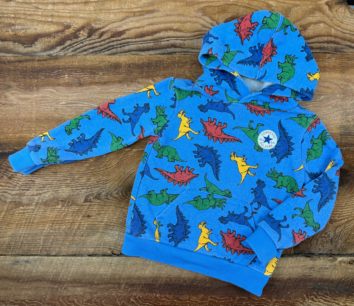 Converse 3T Dino Hoodie