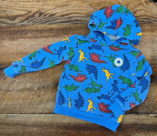 Converse 3T Dino Hoodie