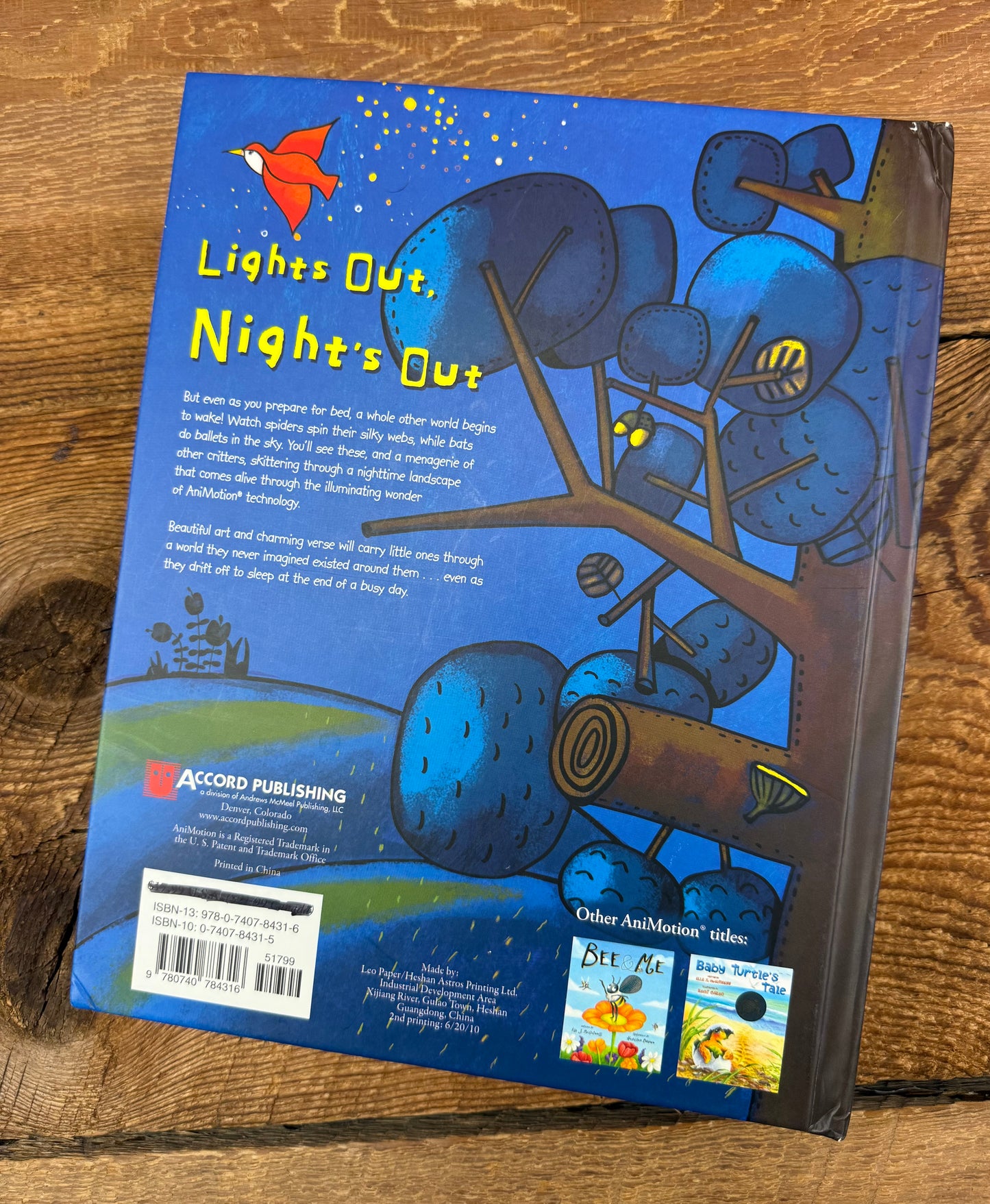 Lights Out, Night’s Out Board Book