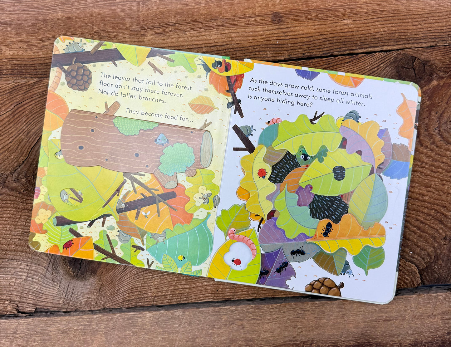Usborne Peep inside the Forest Book
