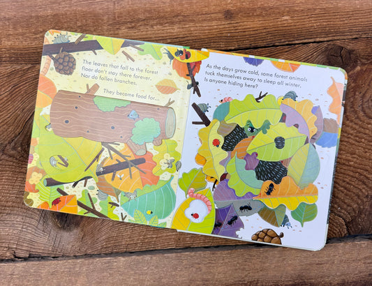Usborne Peep inside the Forest Book