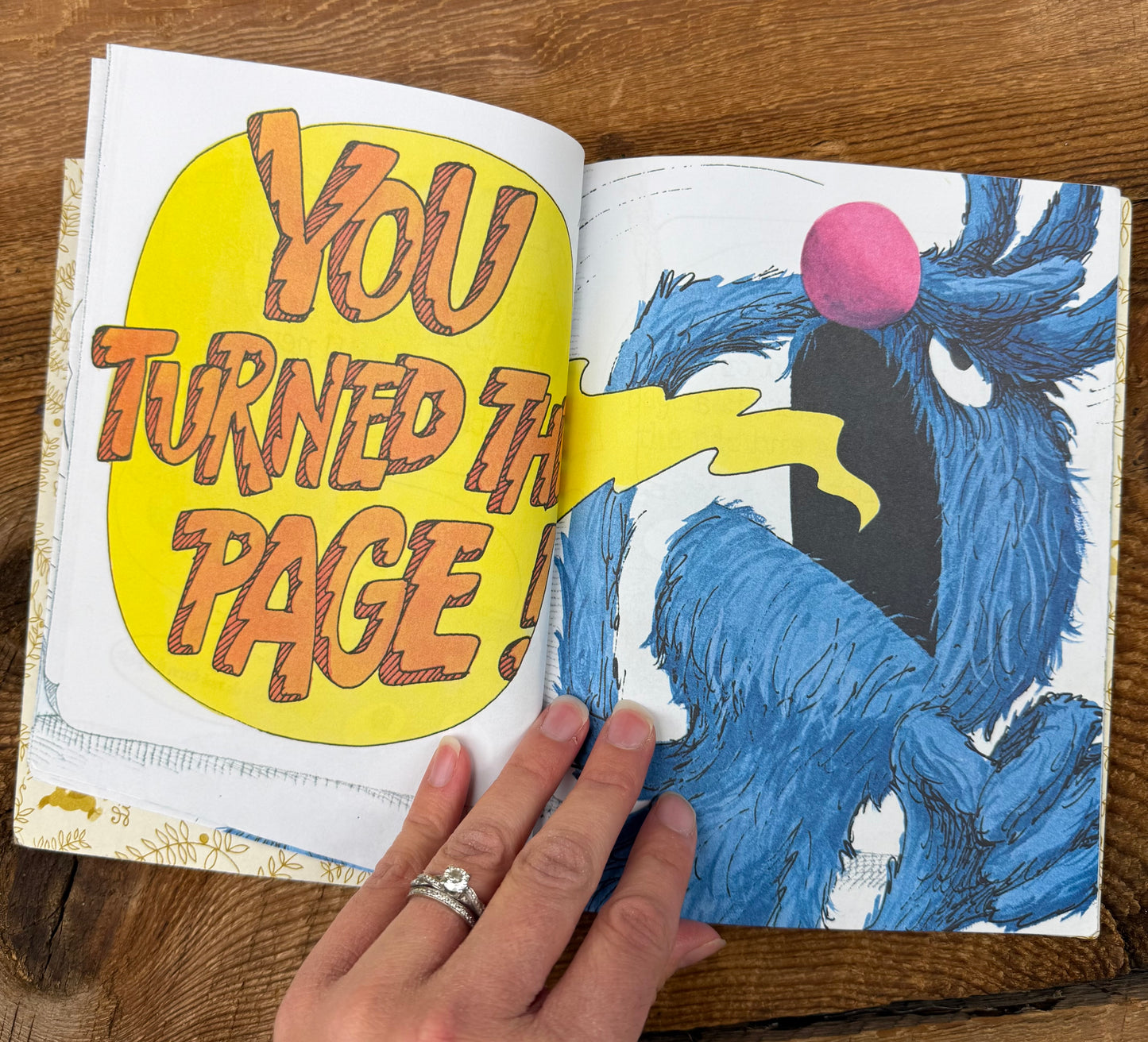 Sesame Street, the Monster at the end of this book