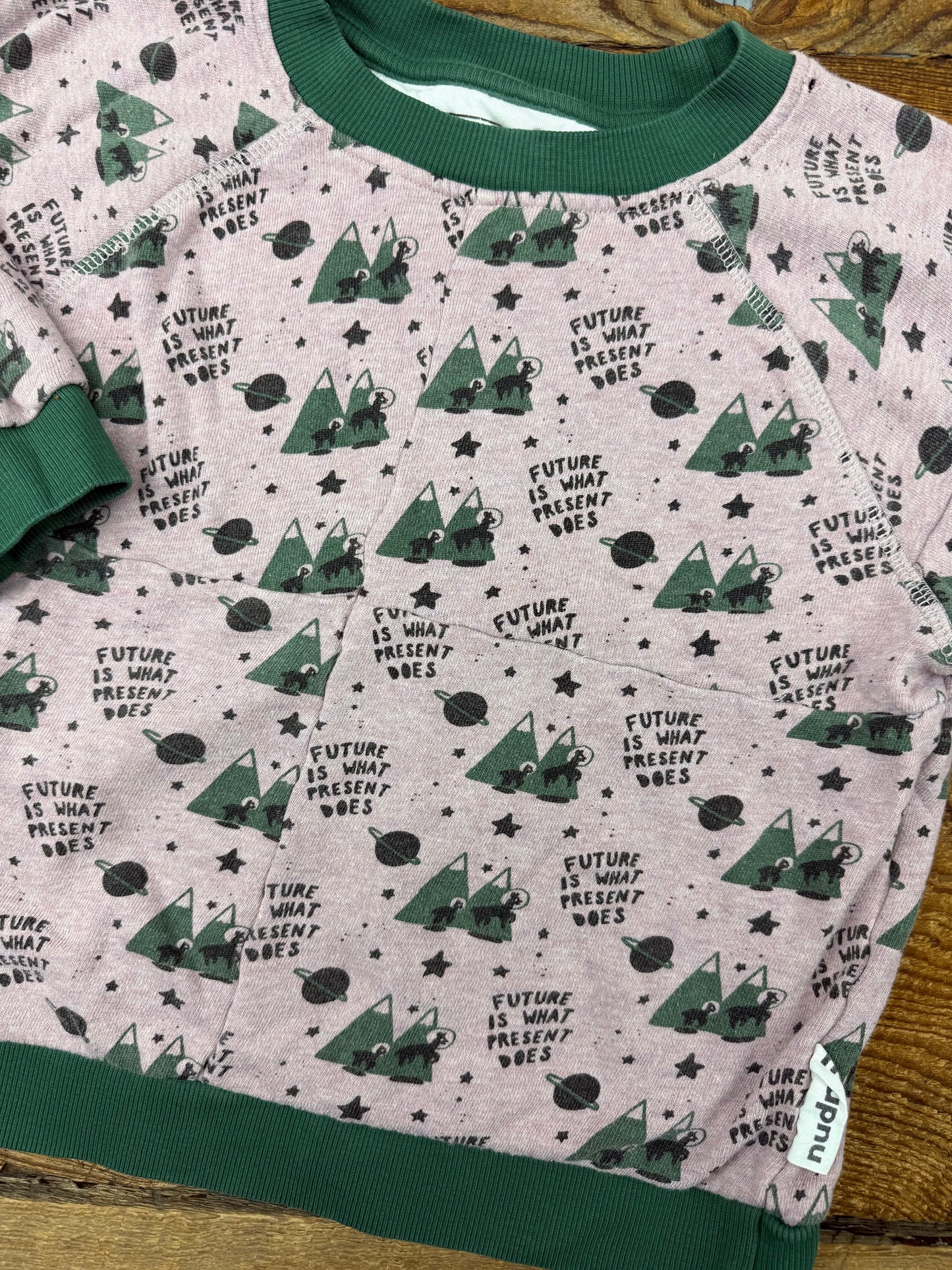 Nudnik 4T The Future Quilted Crewneck
