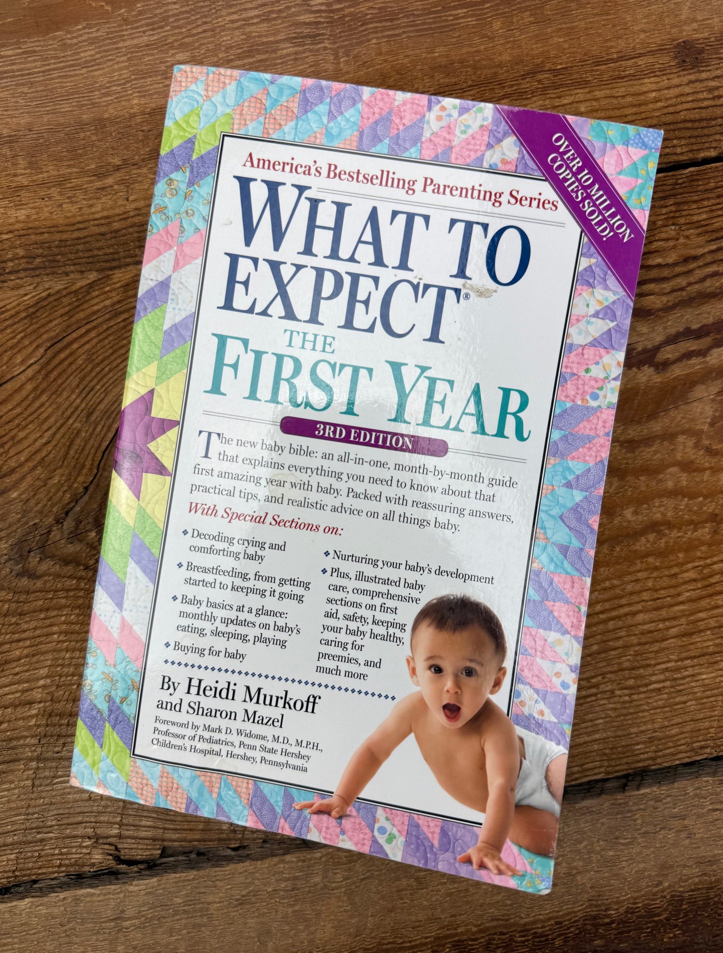 What to Expect the First Year Book