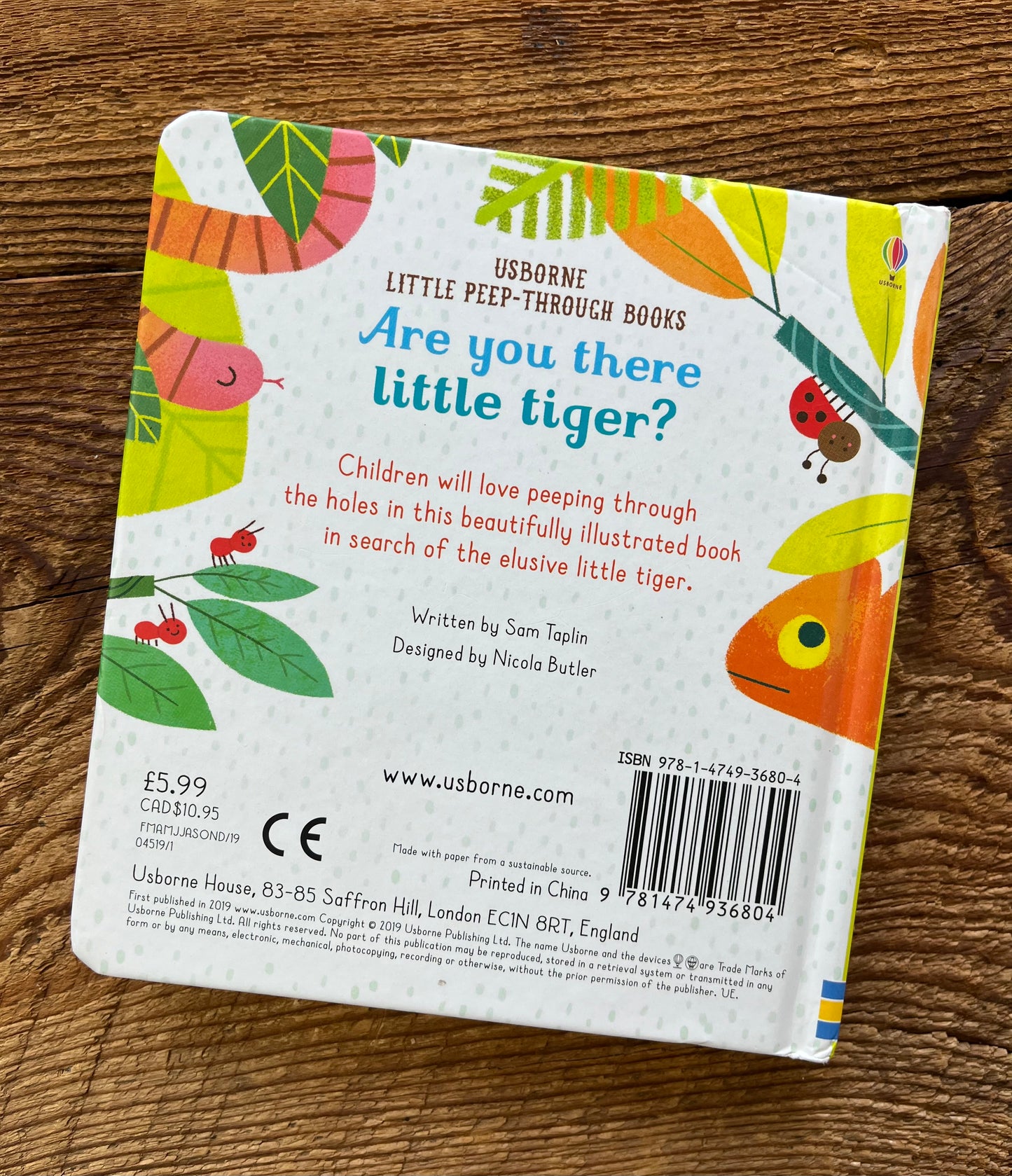 Usborne Books Are you there little Tiger?