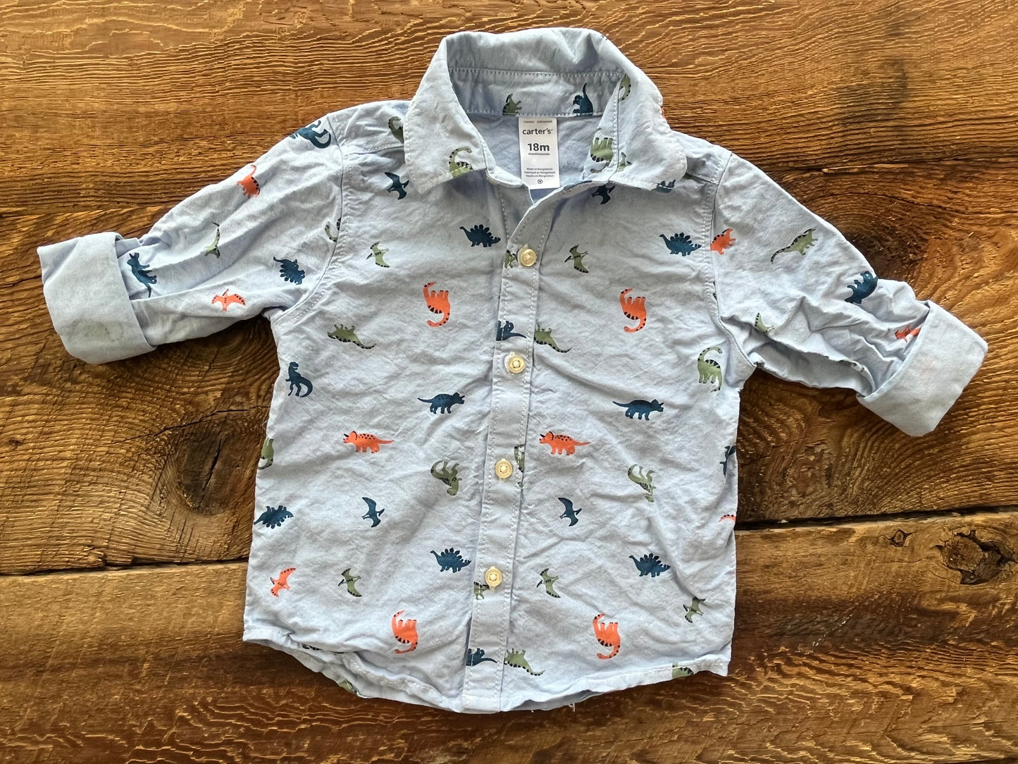 Carter’s 18M Dino Dress Shirt