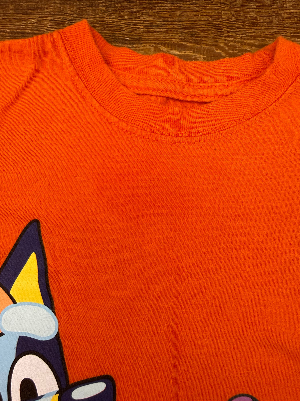 Bluey 3T Halloween Tee