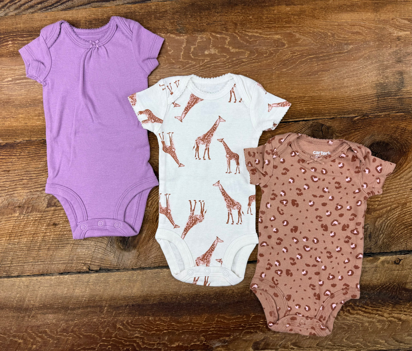 Carter’s NB Safari Onesie Set