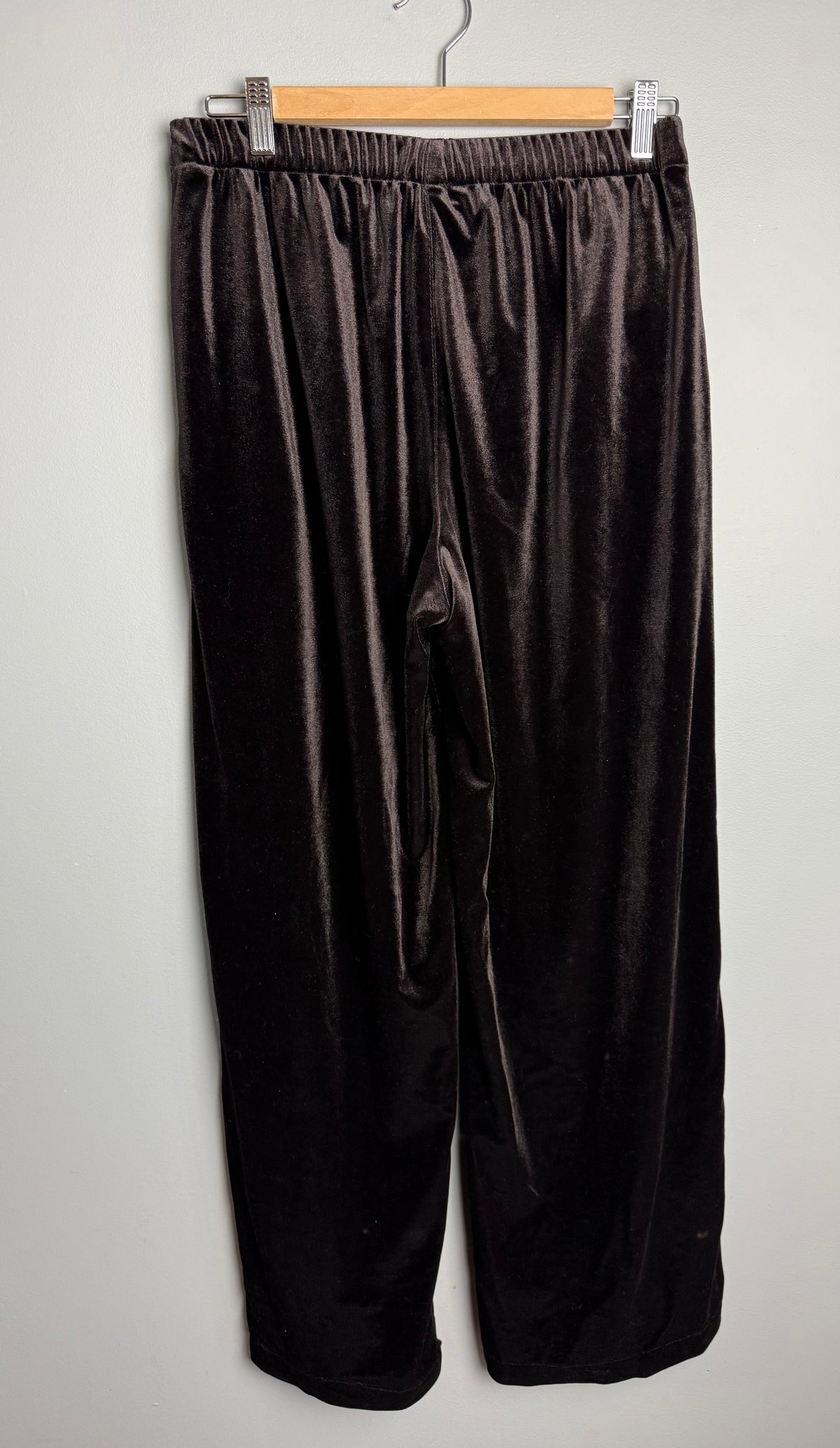 Zara Women’s Small Velvet Pant