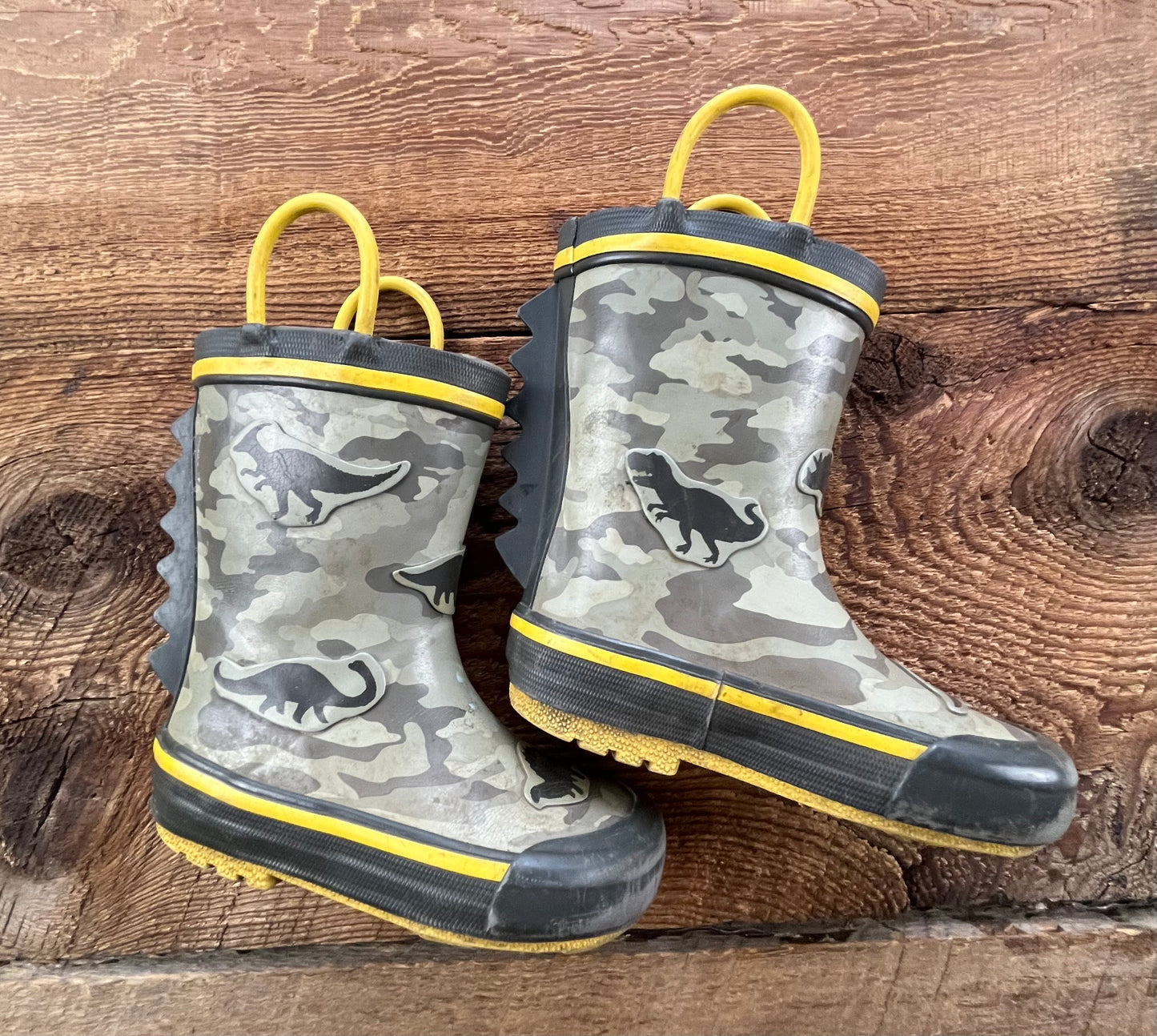 6T Dino Rain Boot