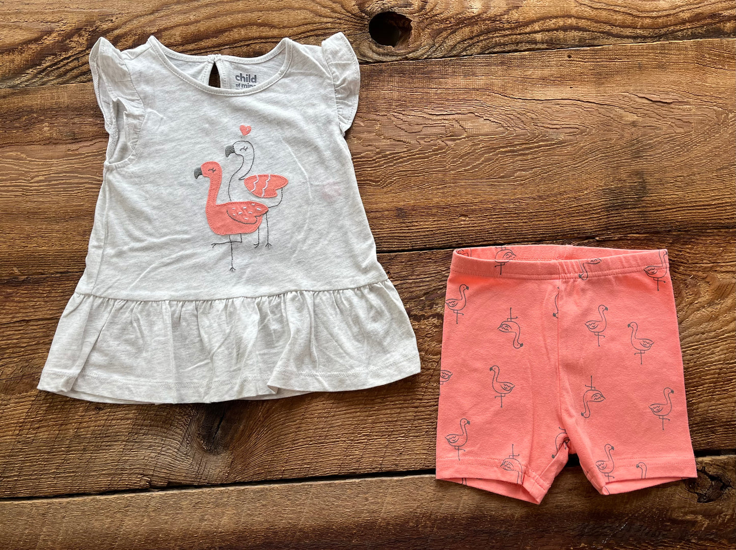 Child of Mine 18M Flamingo Outfit