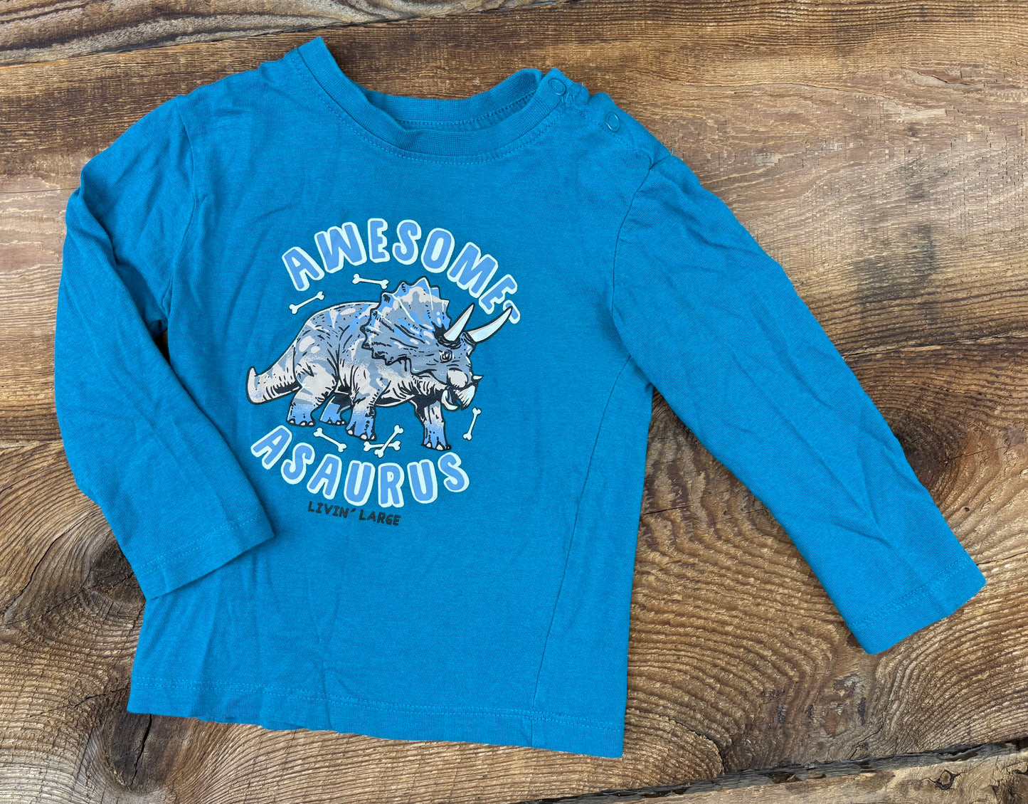 Monkey Bars 18M Dino Shirt