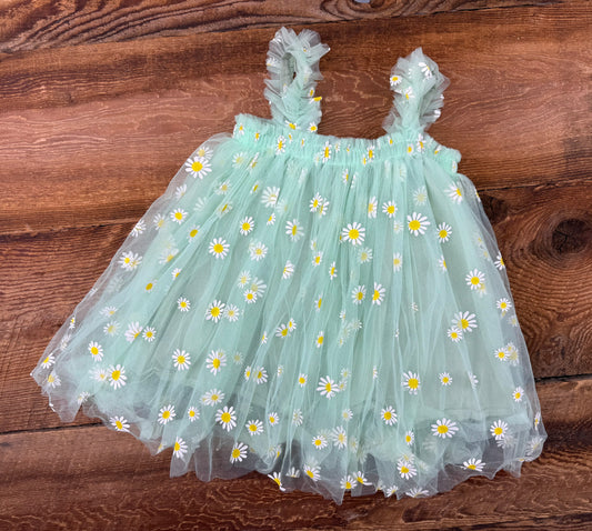 Cavigour 2T Daisy Tulle Dress