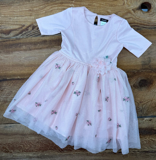 Zunie 5T Tulle Flower Dress