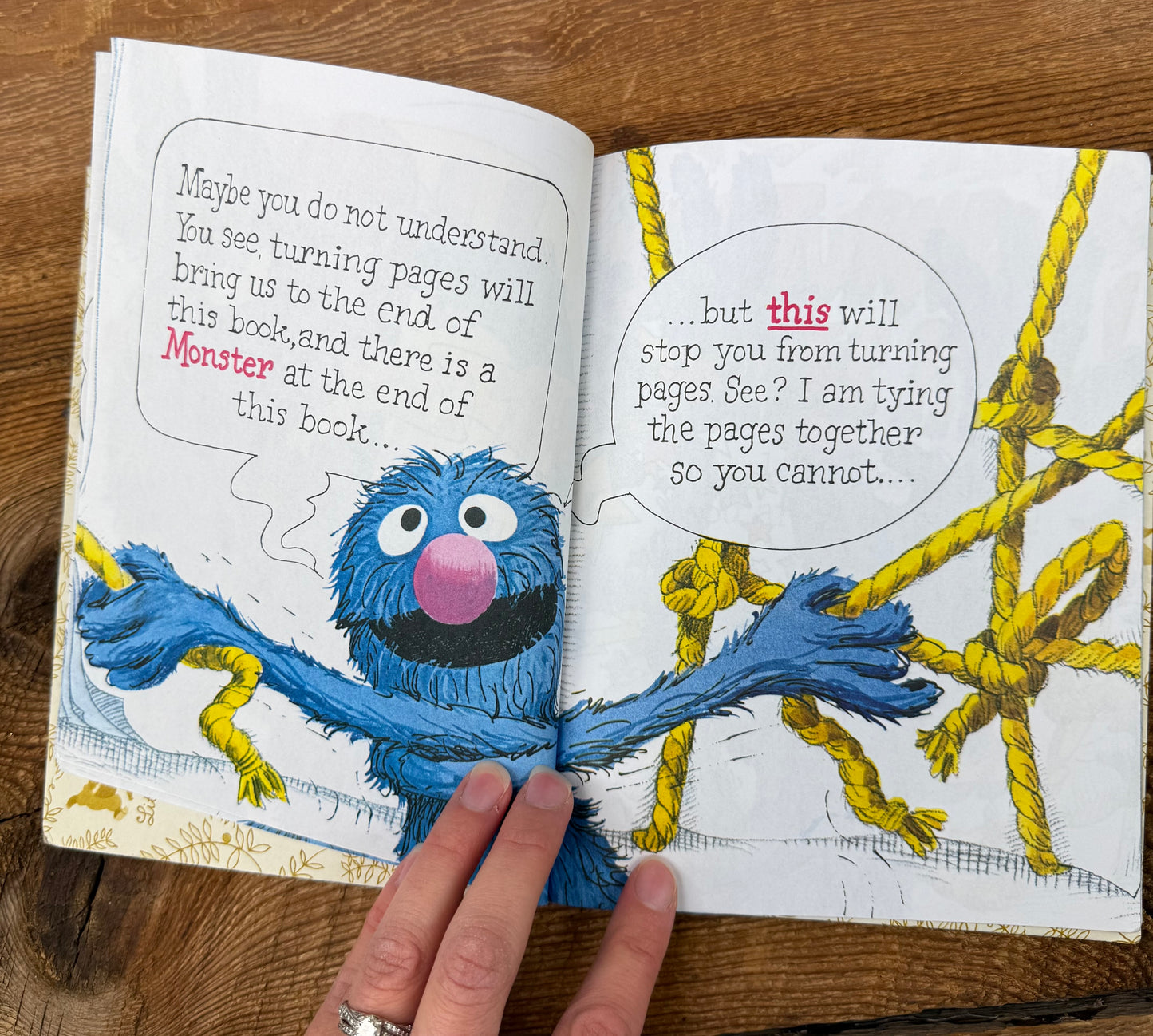 Sesame Street, the Monster at the end of this book