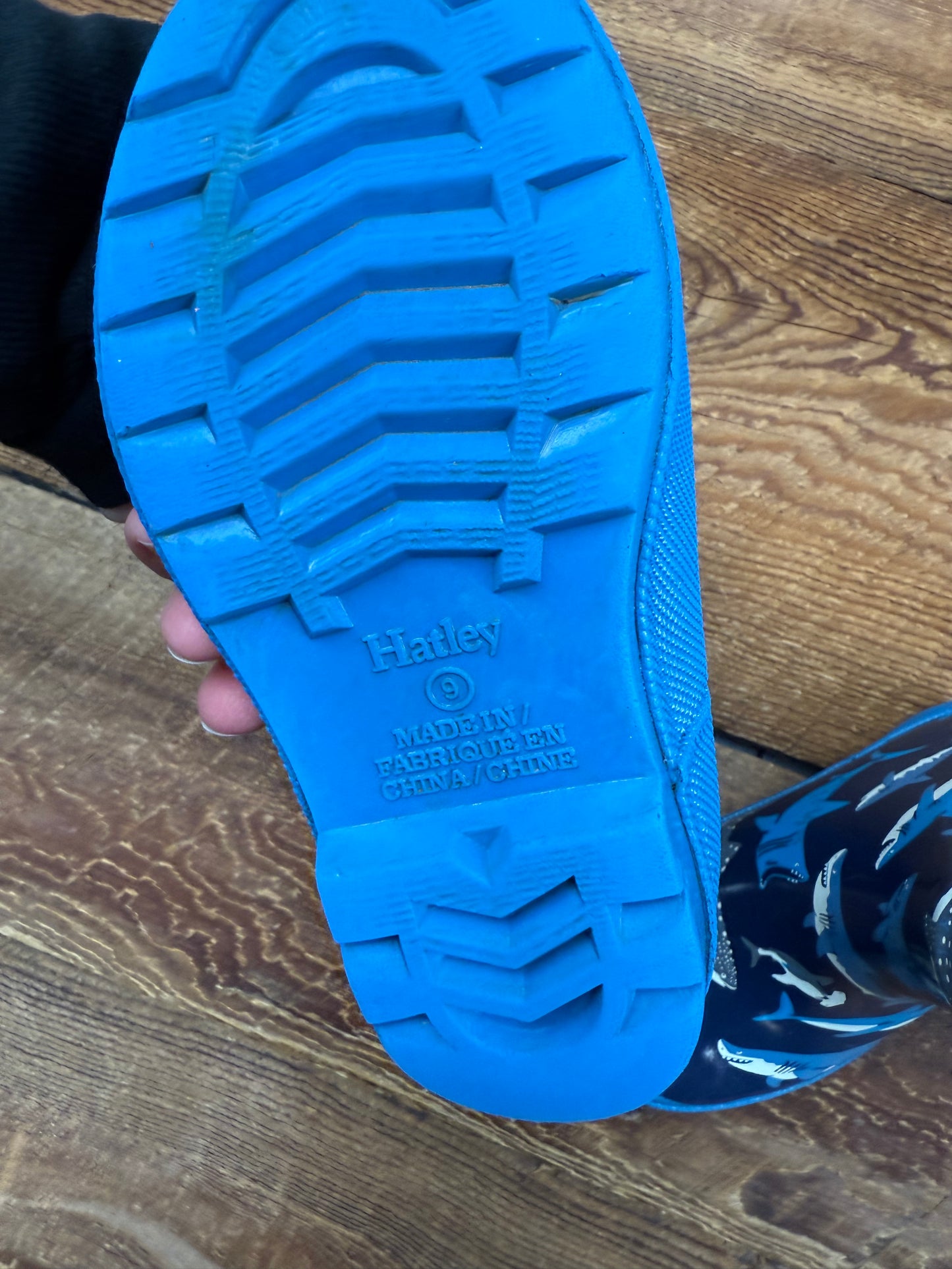 Hatley 9C Shark Rainboot