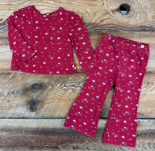 Gap 2T Floral Outfit