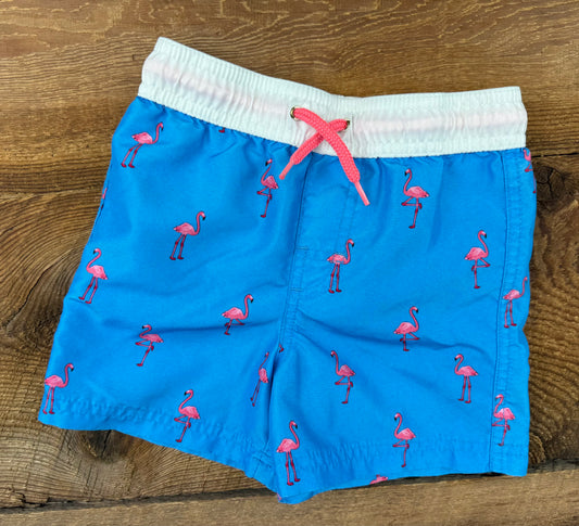 George 2T Flamingo Swim Short