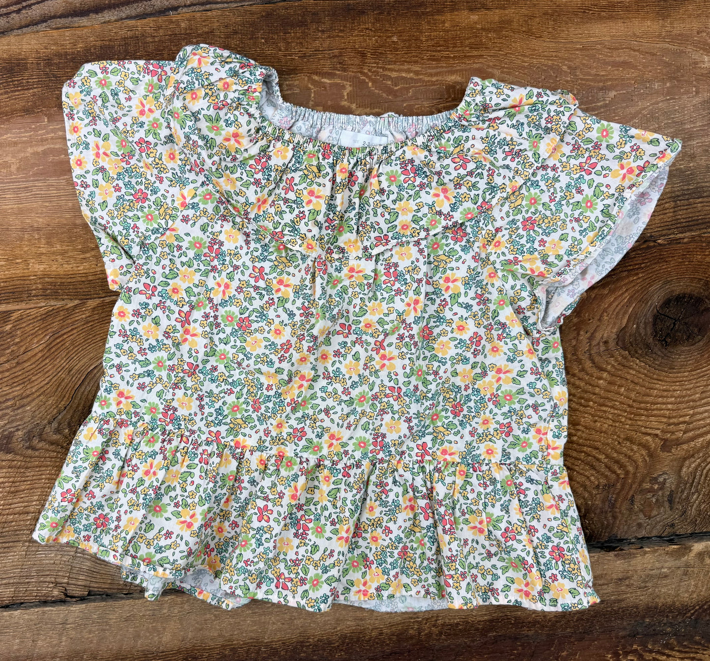 Zara 2-3T Floral Ruffle Tee