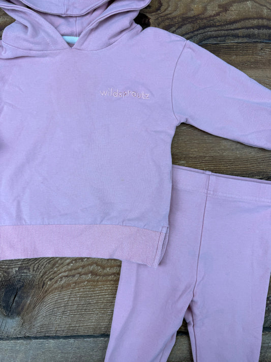 Wild Sproutz 12-18M Jogger Set
