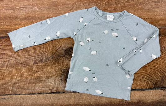 H&M 12M Lamb Shirt