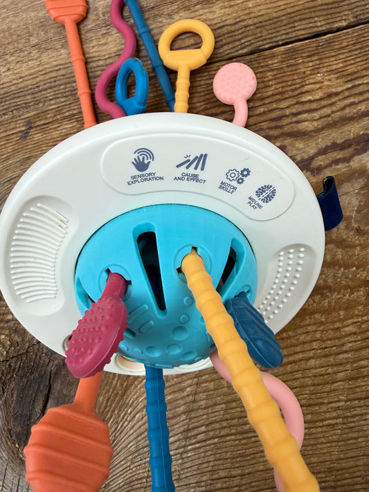 Silicone Sensory Toy
