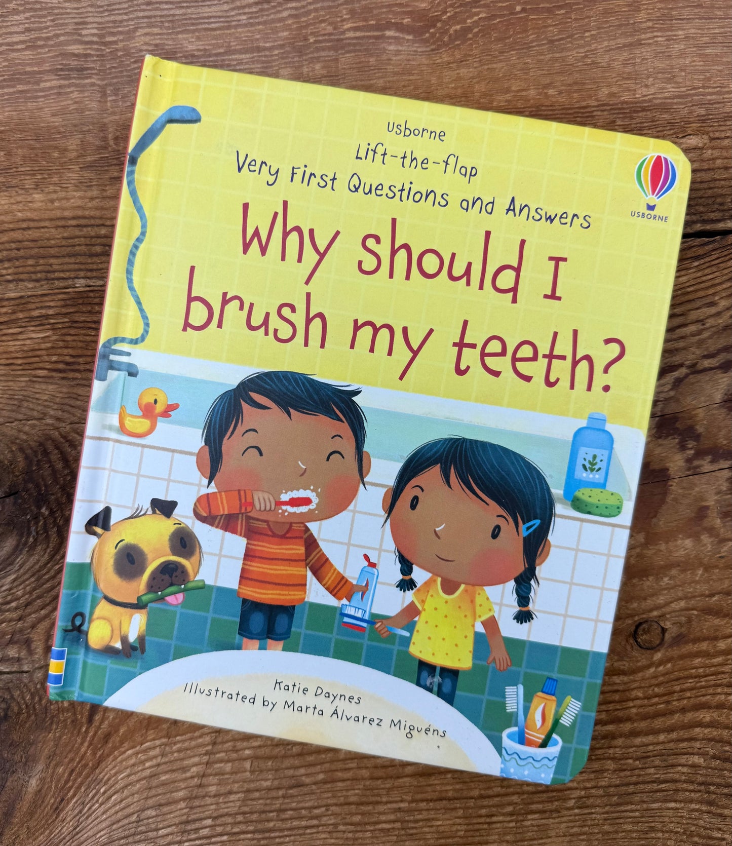Usborne Lift-the-flap Why should I brush my Teeth? Book