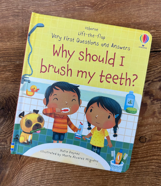 Usborne Lift-the-flap Why should I brush my Teeth? Book