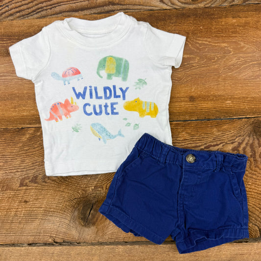Carter’s 3M Wildly Cute Outflit