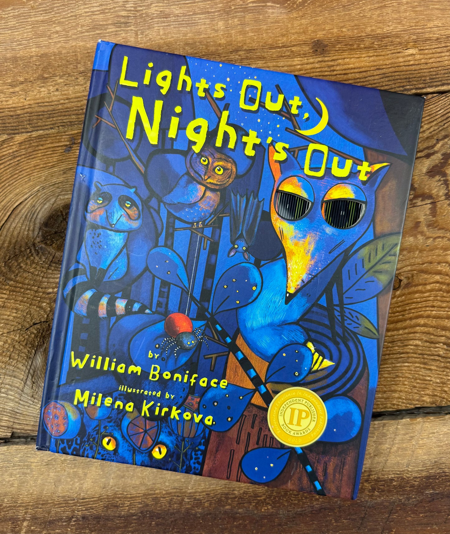 Lights Out, Night’s Out Board Book