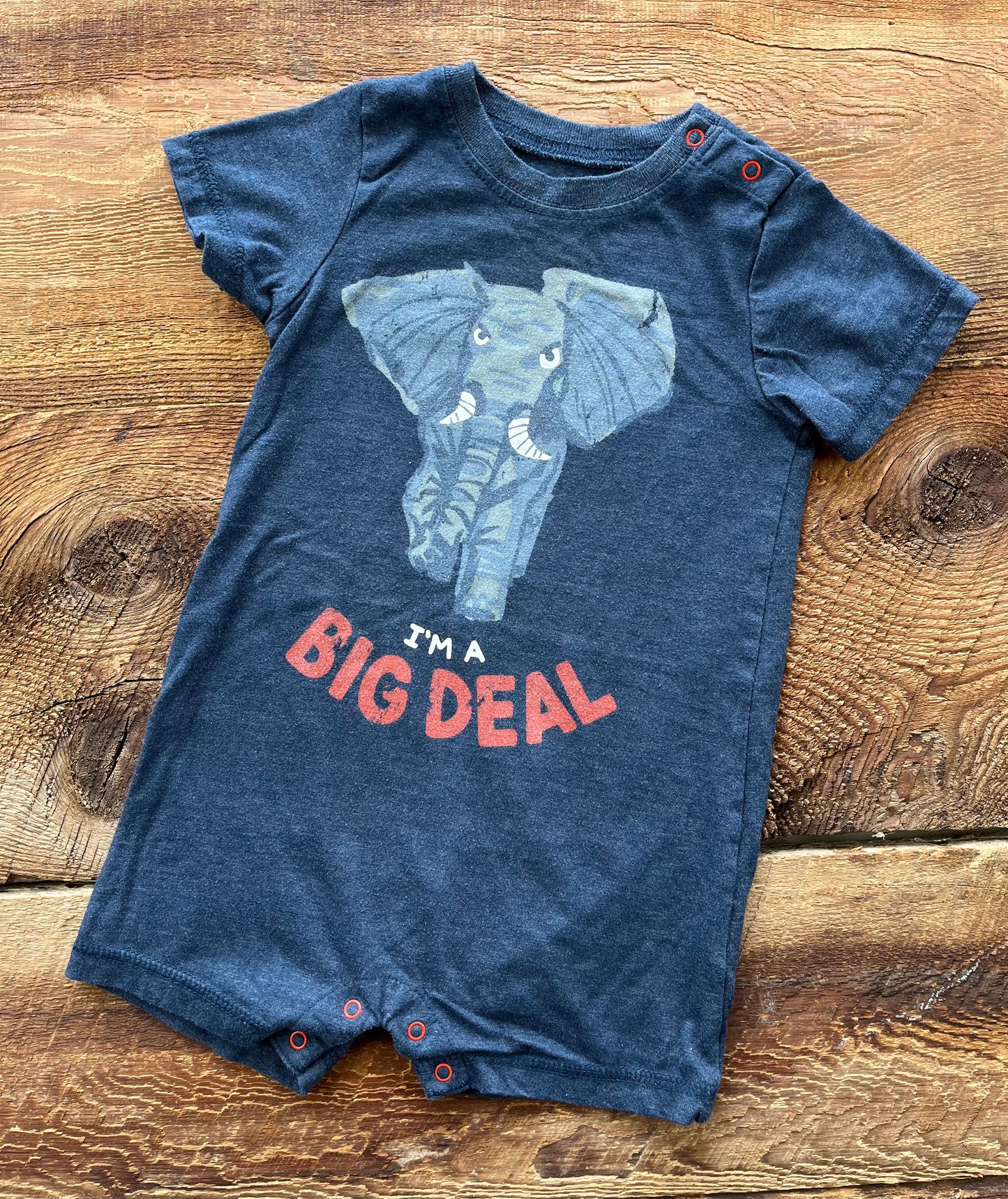 Hatley 12-18M Big Deal Romper