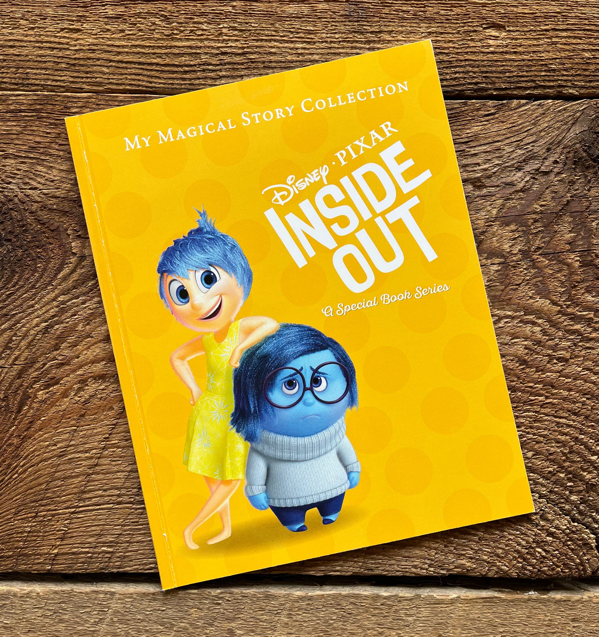Reading Streak Book Inside Out