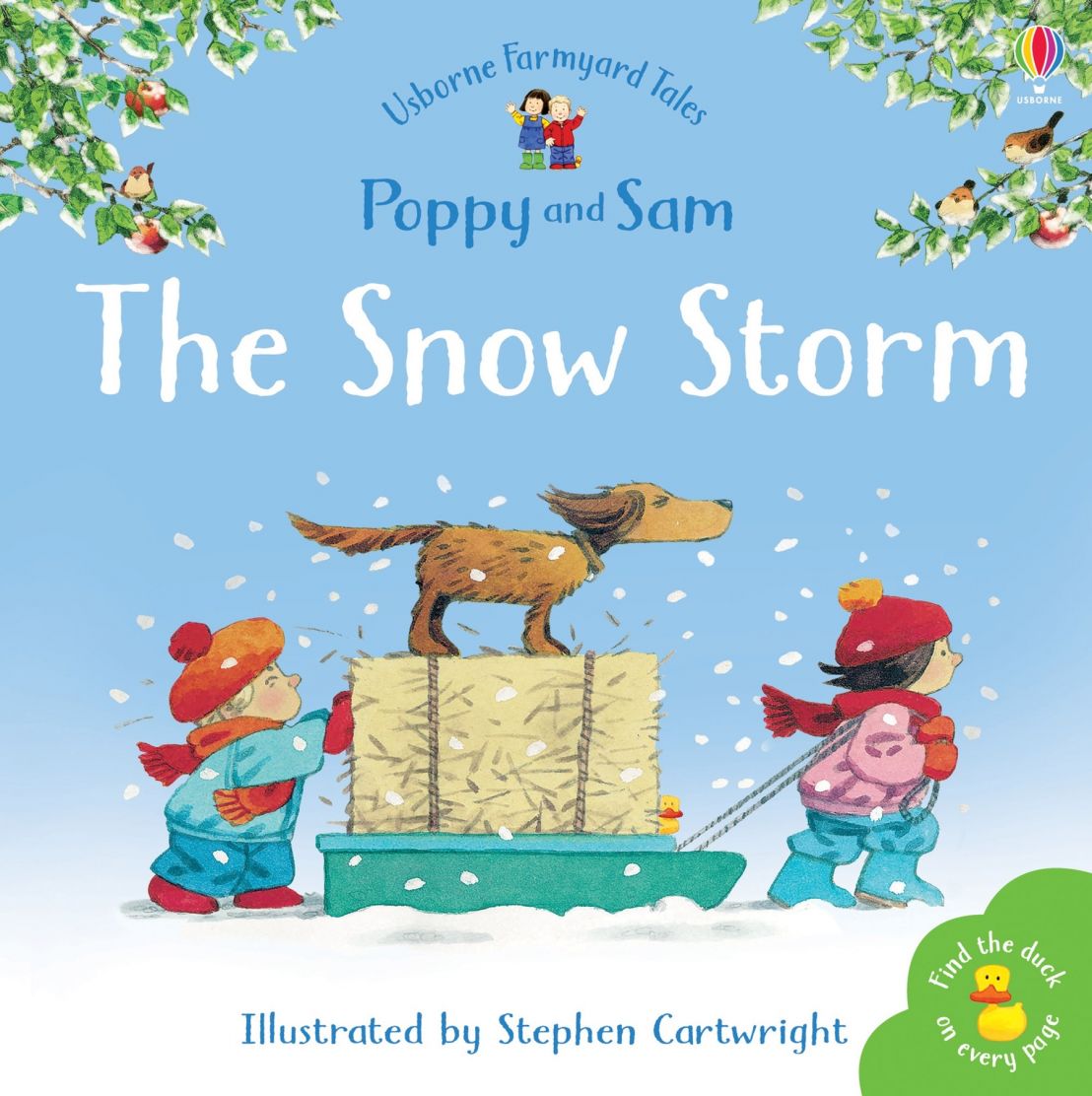 Usborne The Snow Storm