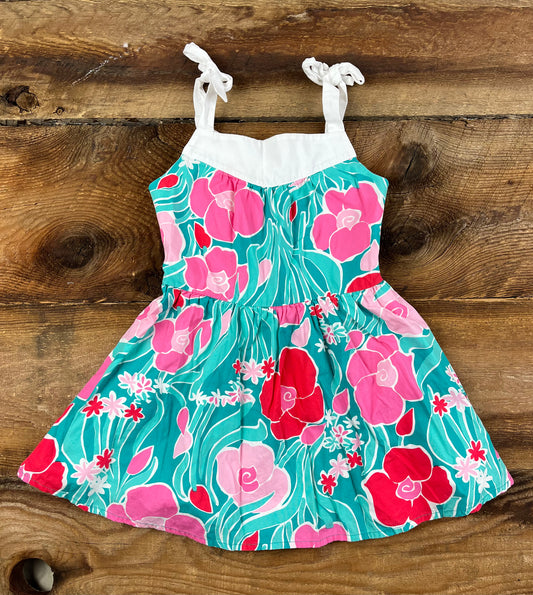 Gymboree 4T Floral Dress