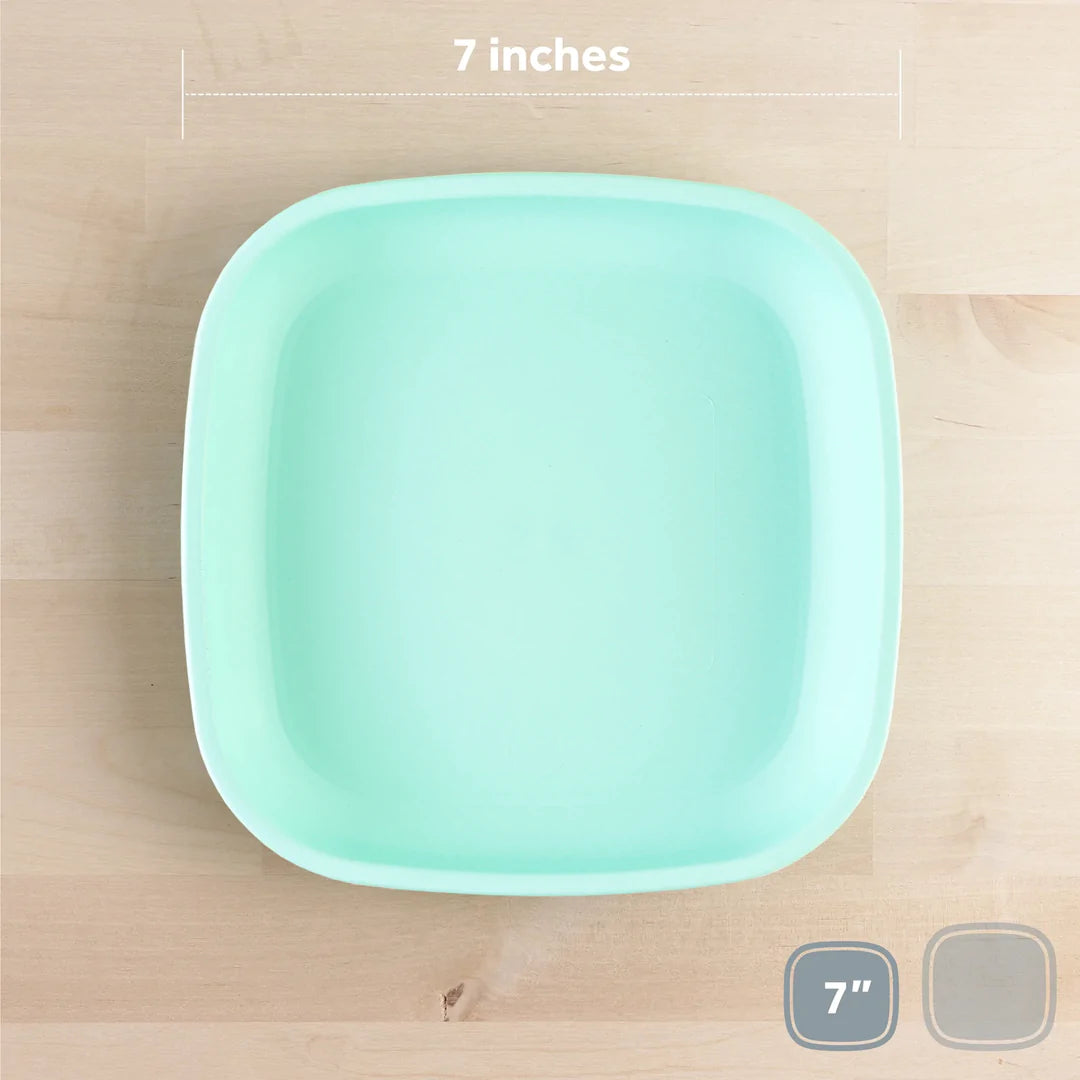 Flat Plate- Mint