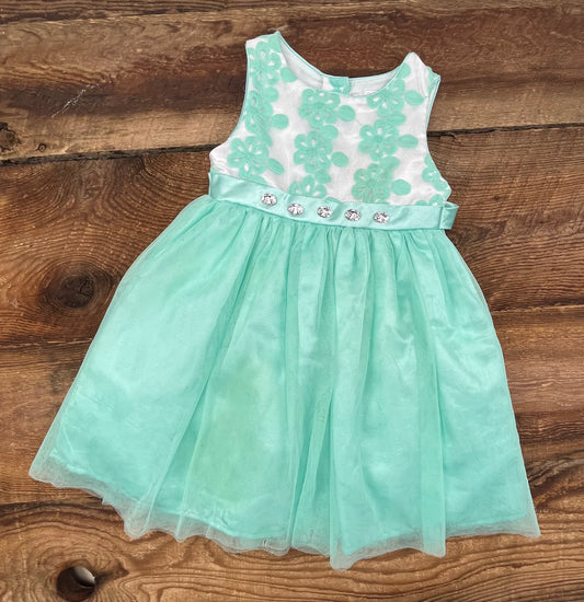 Youngland 4T Tulle Dress